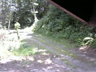長野県菅平高原 ゆたか山荘 東側(坂下) 2025/07/31 12:00