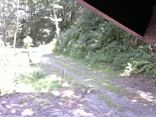 長野県菅平高原 ゆたか山荘 東側(坂下) 2025/07/31 12:15