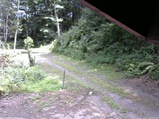 長野県菅平高原 ゆたか山荘 東側(坂下) 2025/07/31 12:30