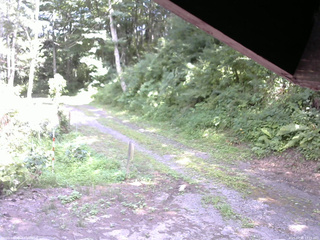 長野県菅平高原 ゆたか山荘 東側(坂下) 2025/07/31 13:15