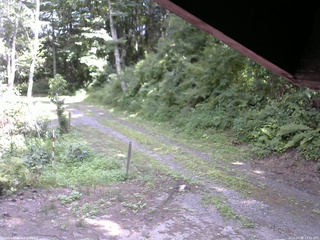 長野県菅平高原 ゆたか山荘 東側(坂下) 2025/07/31 13:45
