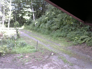 長野県菅平高原 ゆたか山荘 東側(坂下) 2025/07/31 14:00