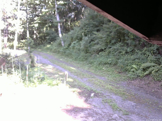 長野県菅平高原 ゆたか山荘 東側(坂下) 2025/07/31 15:30