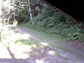 長野県菅平高原 ゆたか山荘 東側(坂下) 2025/07/31 16:15
