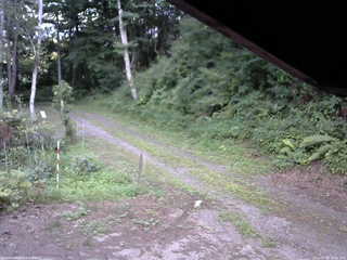 長野県菅平高原 ゆたか山荘 東側(坂下) 2025/07/31 18:00