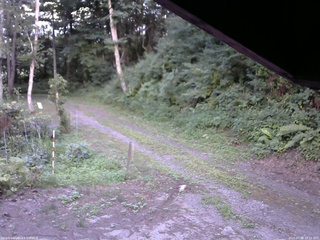 長野県菅平高原 ゆたか山荘 東側(坂下) 2025/07/31 18:15