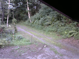 長野県菅平高原 ゆたか山荘 東側(坂下) 2025/07/31 18:30