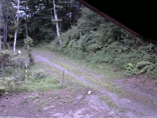 長野県菅平高原 ゆたか山荘 東側(坂下) 2025/07/31 18:45