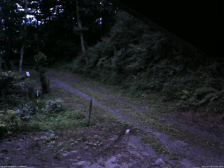 長野県菅平高原 ゆたか山荘 東側(坂下) 2025/07/31 19:00