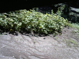 長野県菅平高原 ゆたか山荘 駐車場 2025/07/31 08:45