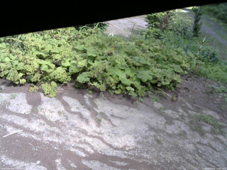 長野県菅平高原 ゆたか山荘 駐車場 2025/07/31 14:00