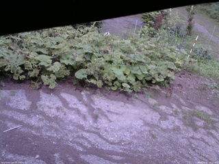 長野県菅平高原 ゆたか山荘 駐車場 2025/07/31 18:15