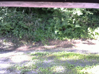 長野県菅平高原 ゆたか山荘 南側 2025/08/01 07:30