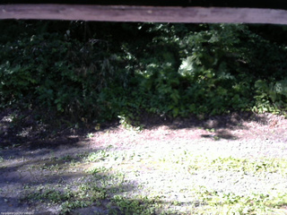 長野県菅平高原 ゆたか山荘 南側 2025/08/01 07:45