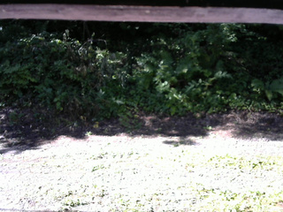 長野県菅平高原 ゆたか山荘 南側 2025/08/01 08:00