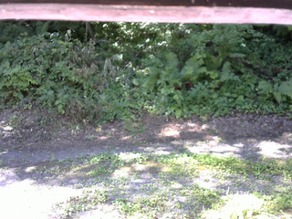 長野県菅平高原 ゆたか山荘 南側 2025/08/01 09:00