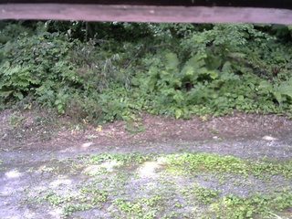 長野県菅平高原 ゆたか山荘 南側 2025/08/01 09:30