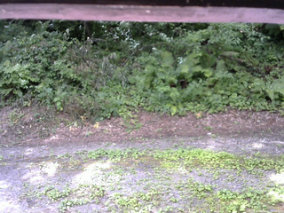 長野県菅平高原 ゆたか山荘 南側 2025/08/01 09:45