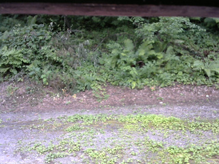 長野県菅平高原 ゆたか山荘 南側 2025/08/01 12:15