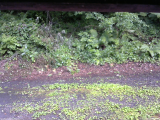 長野県菅平高原 ゆたか山荘 南側 2025/08/01 14:15