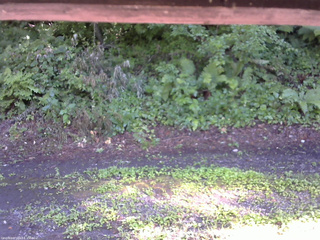 長野県菅平高原 ゆたか山荘 南側 2025/08/01 14:45