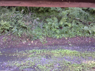 長野県菅平高原 ゆたか山荘 南側 2025/08/01 15:30