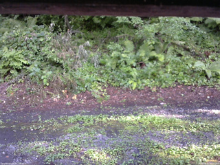 長野県菅平高原 ゆたか山荘 南側 2025/08/01 16:00