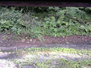 長野県菅平高原 ゆたか山荘 南側 2025/08/01 16:45