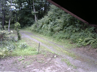 長野県菅平高原 ゆたか山荘 東側(坂下) 2025/08/01 10:00