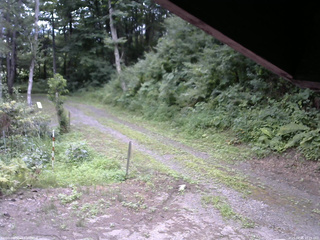 長野県菅平高原 ゆたか山荘 東側(坂下) 2025/08/01 10:15