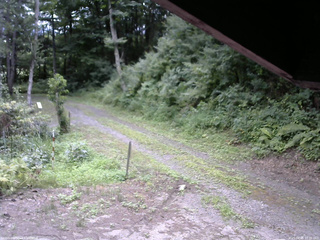 長野県菅平高原 ゆたか山荘 東側(坂下) 2025/08/01 10:30