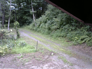 長野県菅平高原 ゆたか山荘 東側(坂下) 2025/08/01 11:45
