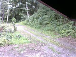 長野県菅平高原 ゆたか山荘 東側(坂下) 2025/08/01 12:45