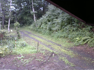 長野県菅平高原 ゆたか山荘 東側(坂下) 2025/08/01 14:00