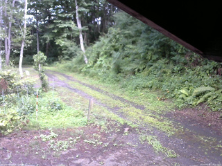 長野県菅平高原 ゆたか山荘 東側(坂下) 2025/08/01 14:15