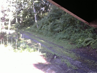 長野県菅平高原 ゆたか山荘 東側(坂下) 2025/08/01 15:30
