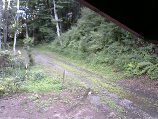 長野県菅平高原 ゆたか山荘 東側(坂下) 2025/08/01 17:45