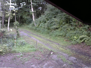 長野県菅平高原 ゆたか山荘 東側(坂下) 2025/08/01 18:00