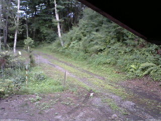 長野県菅平高原 ゆたか山荘 東側(坂下) 2025/08/01 18:15