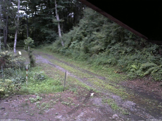 長野県菅平高原 ゆたか山荘 東側(坂下) 2025/08/01 18:45