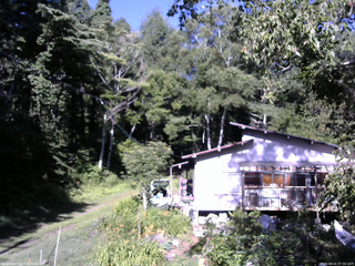 長野県菅平高原 ゆたか山荘 西側(坂上) 2025/08/01 07:30