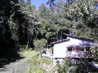 長野県菅平高原 ゆたか山荘 西側(坂上) 2025/08/01 07:45