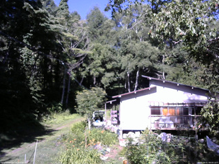 長野県菅平高原 ゆたか山荘 西側(坂上) 2025/08/01 08:00