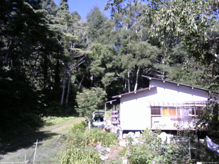 長野県菅平高原 ゆたか山荘 西側(坂上) 2025/08/01 08:30