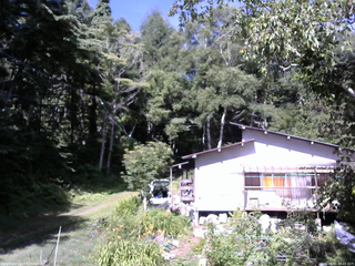 長野県菅平高原 ゆたか山荘 西側(坂上) 2025/08/01 08:45