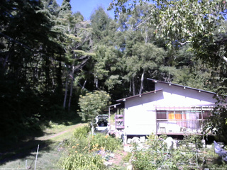 長野県菅平高原 ゆたか山荘 西側(坂上) 2025/08/01 09:00