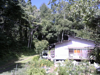 長野県菅平高原 ゆたか山荘 西側(坂上) 2025/08/01 09:15