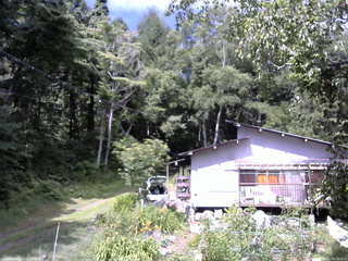 長野県菅平高原 ゆたか山荘 西側(坂上) 2025/08/01 09:30