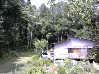 長野県菅平高原 ゆたか山荘 西側(坂上) 2025/08/01 09:45