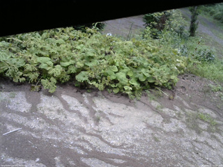 長野県菅平高原 ゆたか山荘 駐車場 2025/08/01 10:00